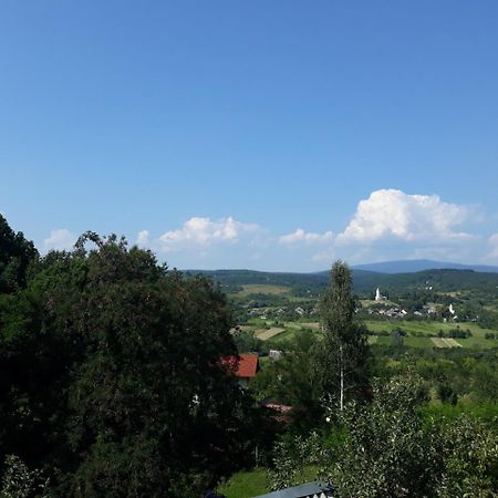Котедж "Лісовий Затишок" Glubokoye Εξωτερικό φωτογραφία