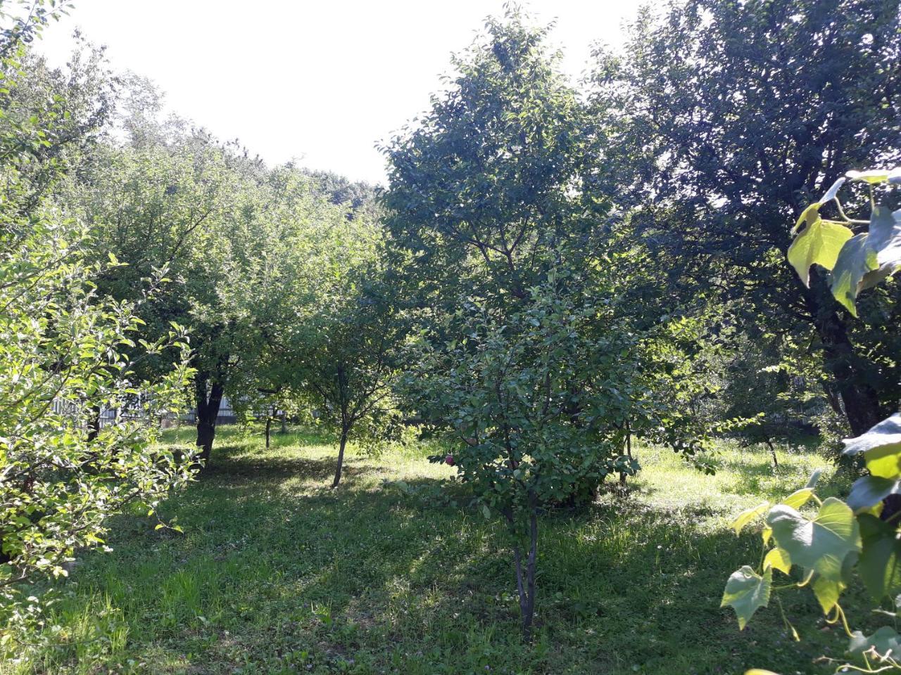 Котедж "Лісовий Затишок" Glubokoye Εξωτερικό φωτογραφία