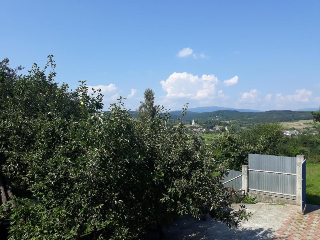 Котедж "Лісовий Затишок" Glubokoye Εξωτερικό φωτογραφία