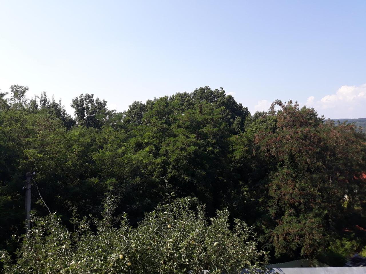 Котедж "Лісовий Затишок" Glubokoye Εξωτερικό φωτογραφία